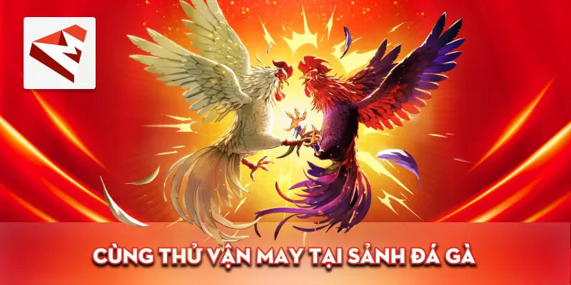 Min88 Cùng thử vận may tại sảnh đá gà